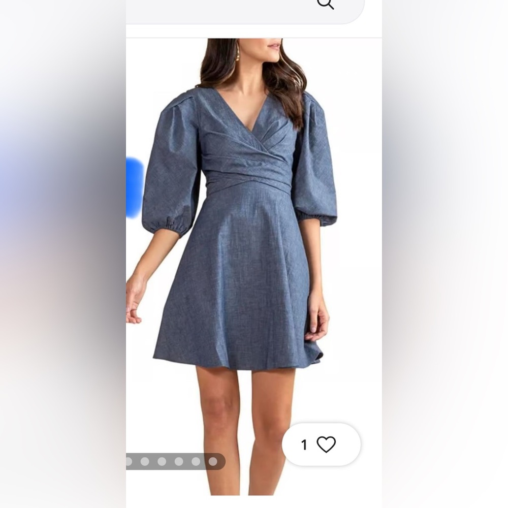 Brand new Shoshana denim dress